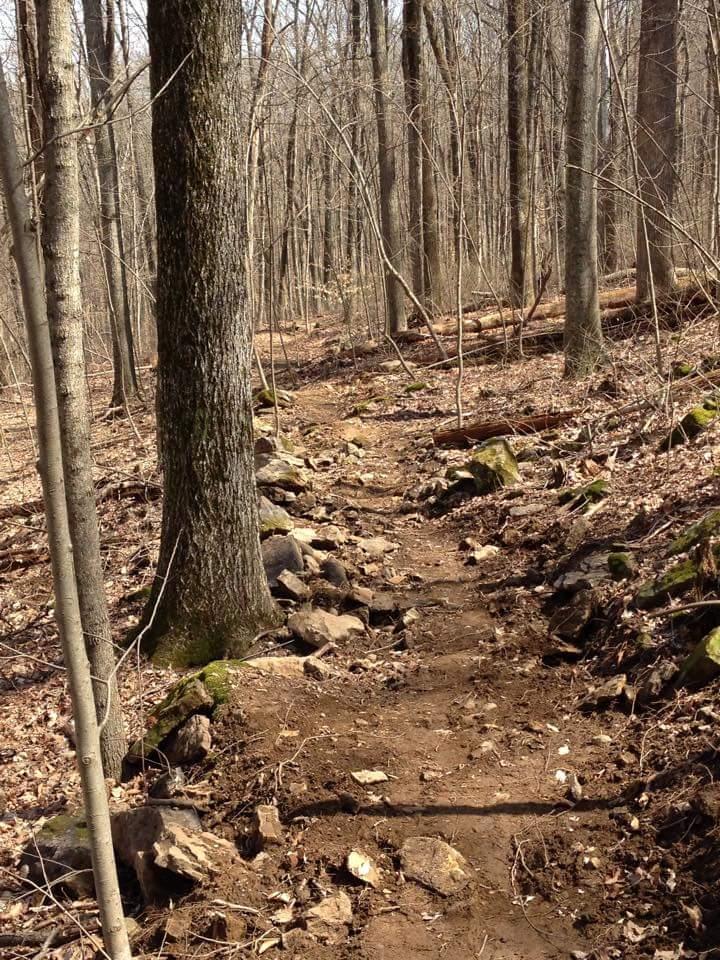 A dirt hiking trail winding through a forest with bare trees, rocks along the path, and a ground covered in fallen leaves and twigs. O'bannon Woods mountain bike trail.