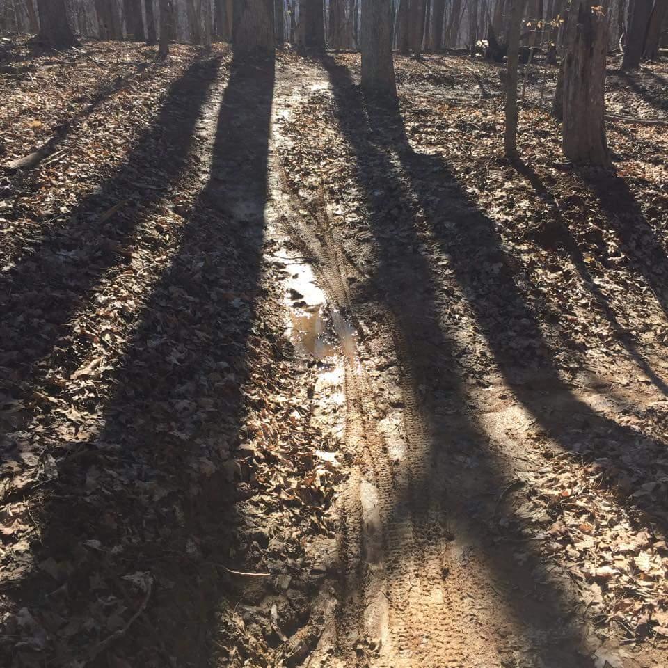 A dirt trail winding through a forest, surrounded by tall trees casting long shadows. The ground is covered with fallen leaves, and there is a small puddle of water visible on the path. The scene is illuminated by sunlight, creating a serene, natural atmosphere. O'bannon Woods mountain bike trail.