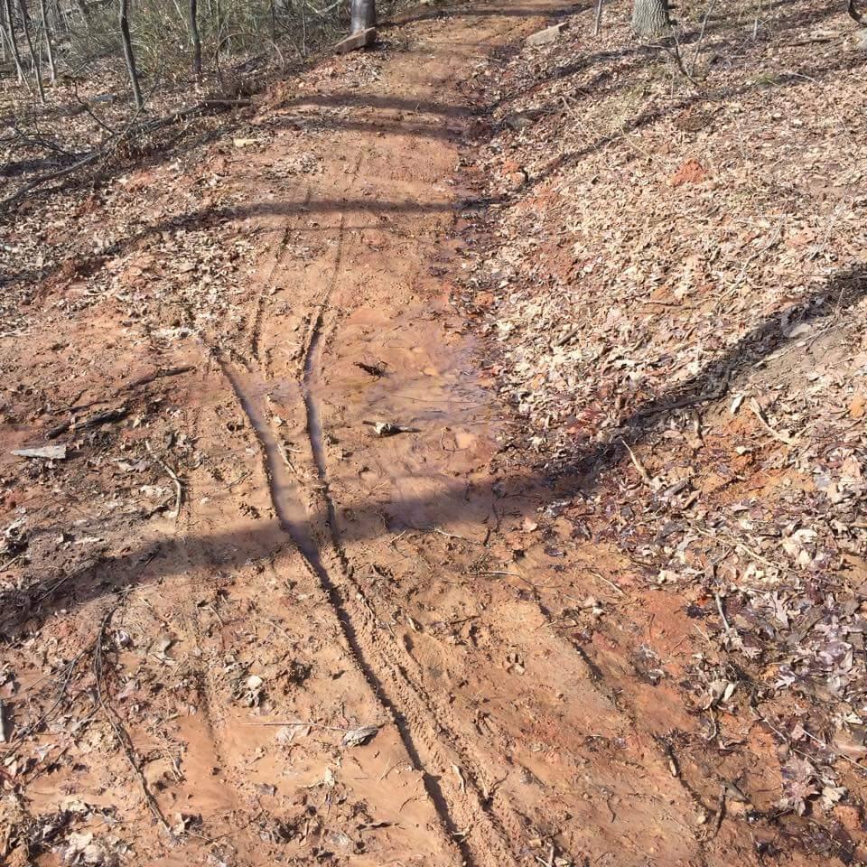 A narrow dirt trail winding through a wooded area, with visible tire tracks and patches of muddy soil. The ground is scattered with dry leaves, and the tree shadows extend across the path. O'bannon Woods mountain bike trail.