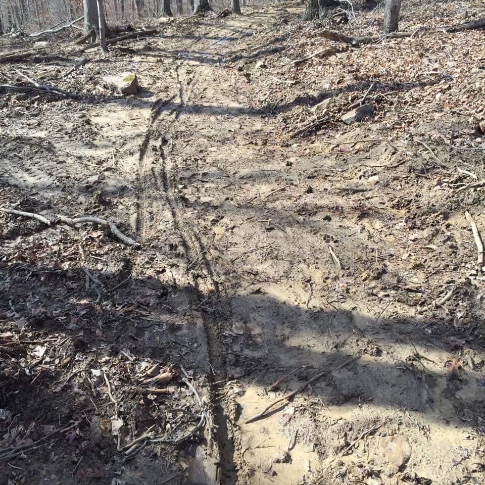 A muddy dirt path through a wooded area, with visible tire tracks and scattered leaves and branches on the ground. The sunlight casts shadows along the trail, indicating a clear day. O'bannon Woods mountain bike trail.