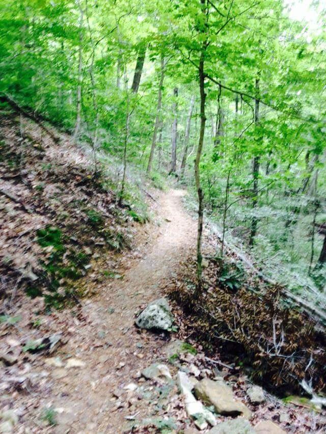 A narrow dirt trail winding through a lush green forest, surrounded by trees with vibrant foliage and scattered rocks along the path. O'bannon Woods mountain bike trail.