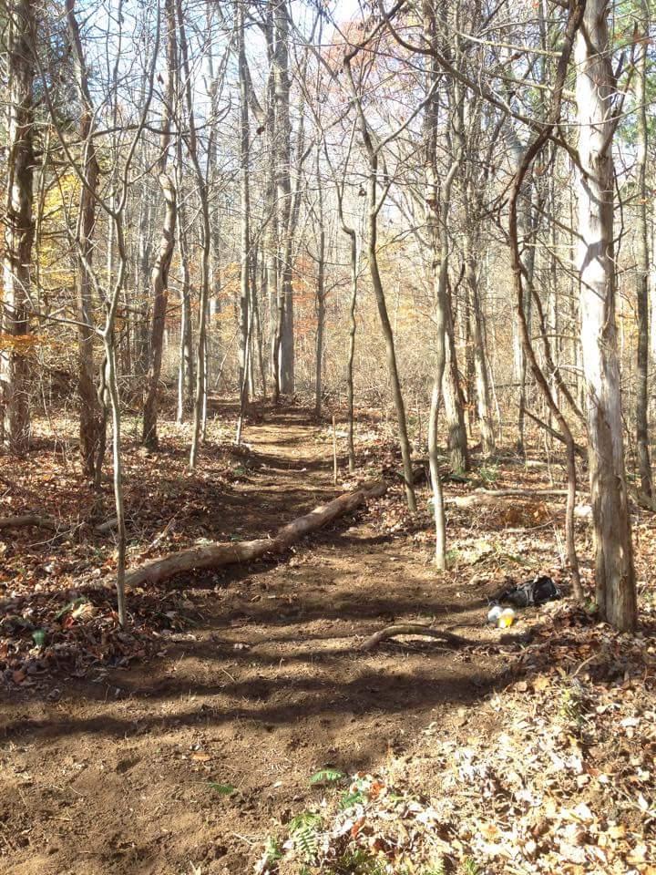 A dirt path meanders through a wooded area, surrounded by bare trees and scattered autumn leaves. Sunlight filters through the branches, illuminating the trail. A fallen log is partially visible on the path, with some underbrush and small plants along the edges. O'bannon Woods mountain bike trail.