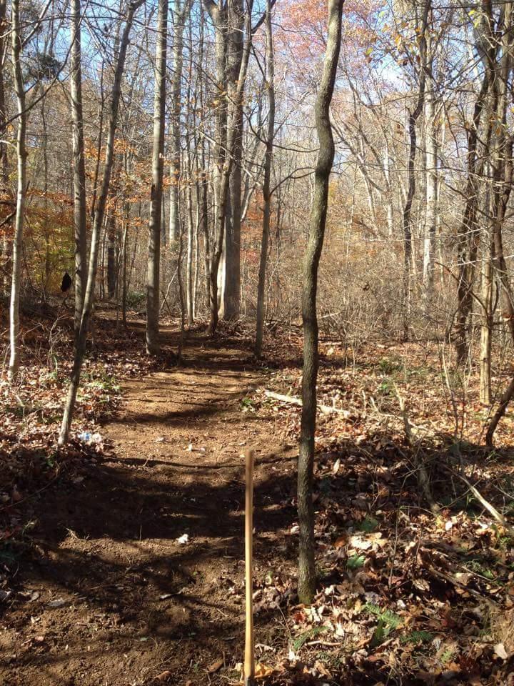 A dirt hiking trail surrounded by bare trees and scattered autumn leaves, with a small wooden post marking the path. The sky is clear and blue, suggesting a sunny day. O'bannon Woods mountain bike trail.