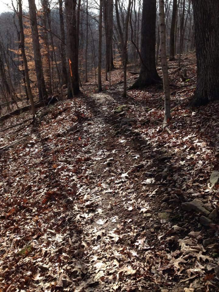 A narrow dirt trail winding through a wooded area, surrounded by trees with sparse leaves in autumn. The ground is covered in a mix of brown and orange fallen leaves, with scattered rocks along the path. An orange marker is visible on a tree in the background, indicating the trail direction. O'bannon Woods mountain bike trail.