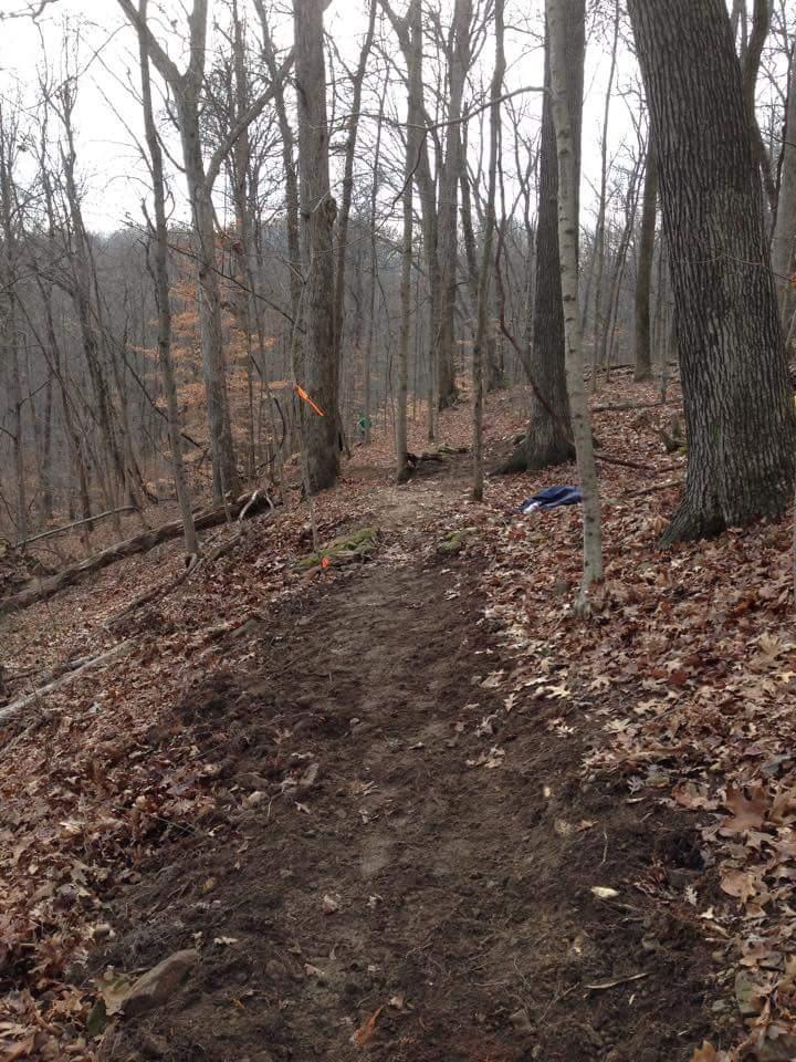 A dirt trail winding through a forest of bare trees and fallen leaves, with a person in the distance. Orange marker flags indicate the trail path. O'bannon Woods mountain bike trail.