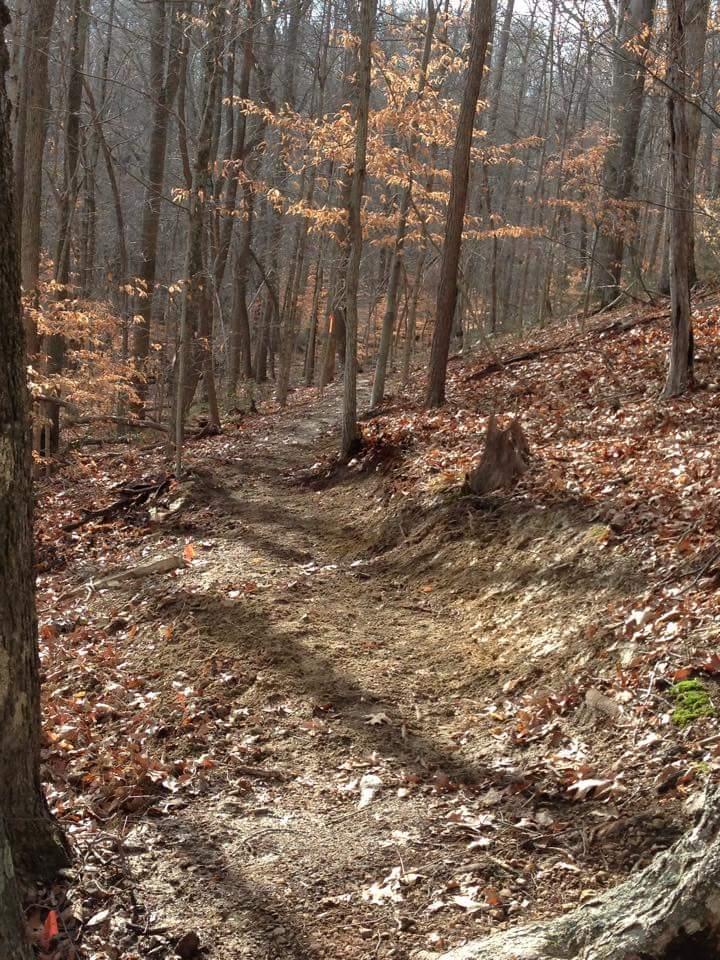 A winding dirt path through a wooded area, surrounded by trees with sparse leaves, indicating late autumn. The ground is covered with fallen leaves, and sunlight filters through the branches, creating a serene natural setting. O'bannon Woods mountain bike trail.