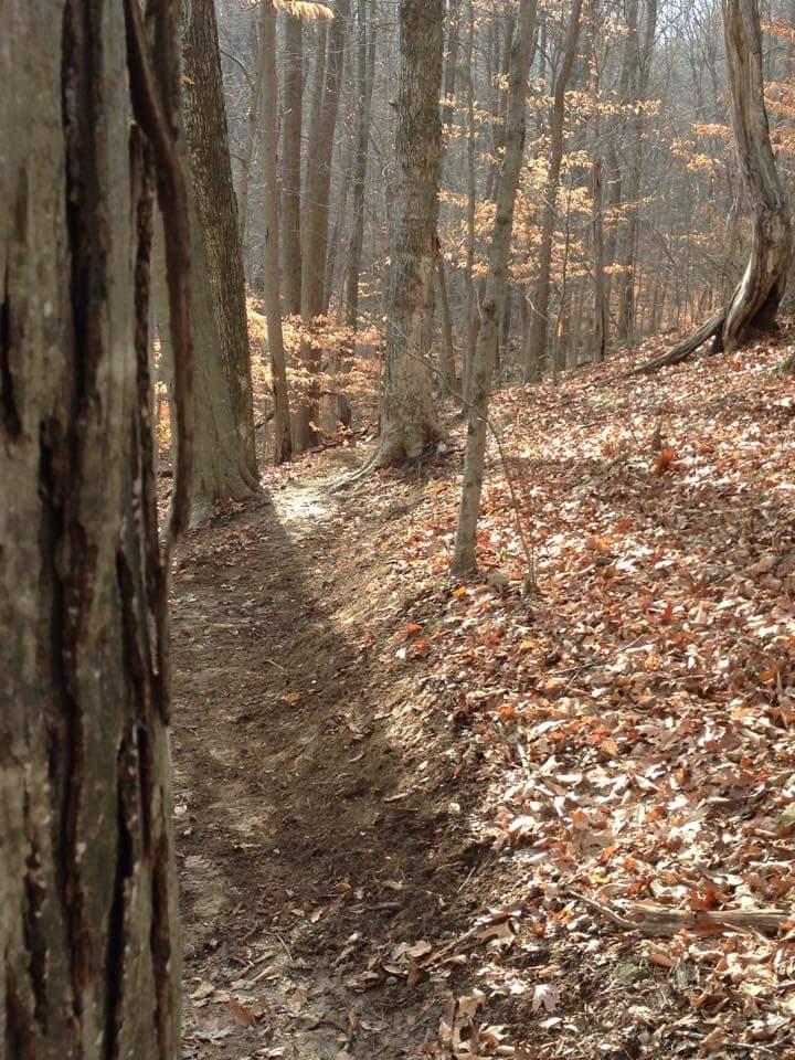 A narrow dirt trail winding through a wooded area, surrounded by trees with autumn leaves scattered on the ground. Soft sunlight filters through the branches, creating a peaceful and serene atmosphere in the forest. O'bannon Woods mountain bike trail.