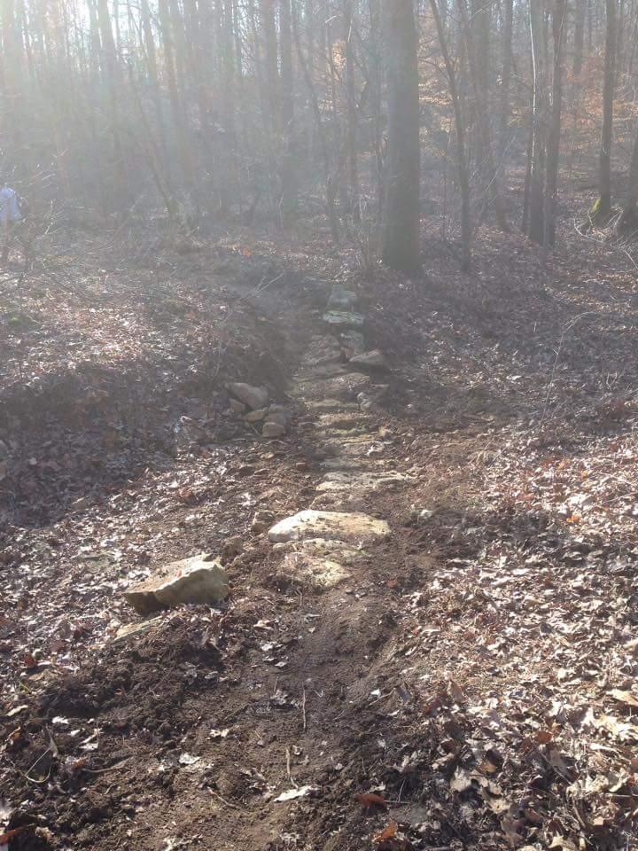 A winding dirt path through a forested area, lined with stones, surrounded by leaf-covered ground and tall trees in the background, with soft sunlight filtering through the branches. O'bannon Woods mountain bike trail.