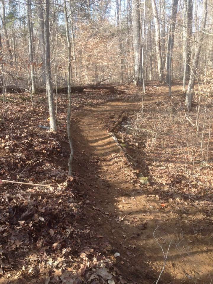 A winding dirt trail through a wooded area, surrounded by trees with bare branches and fallen leaves carpeting the ground. Sunlight filters through the trees, illuminating the path, which is flanked by small rocks and twigs. O'bannon Woods mountain bike trail.