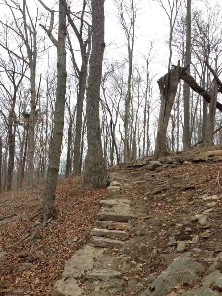 A rocky path leading through a wooded area, with bare trees in the background and scattered leaves on the ground. The path has a series of stone steps that lead upward, set against an earthy, sloped terrain. The sky above is overcast, giving the scene a muted, natural appearance. O'bannon Woods mountain bike trail.