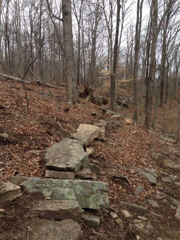A rocky path winding through a wooded area with bare trees and fallen leaves on the ground. The scene is set in a natural landscape, likely during late autumn or early winter, with a cloudy sky overhead. O'bannon Woods mountain bike trail.