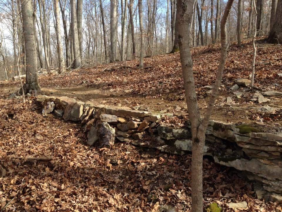 A rocky stone wall in a wooded area, surrounded by bare trees and fallen leaves on the ground. The landscape appears to be in late fall or early spring, with sunlight filtering through the trees. O'bannon Woods mountain bike trail.