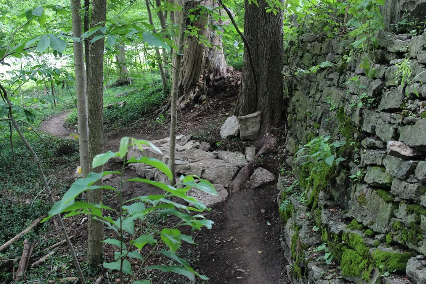 A tranquil wooded path winding through a lush green forest, bordered by a moss-covered stone wall on one side and scattered rocks on the ground. Sunlight filters through the leaves, illuminating the vibrant foliage. Cherokee Park mountain bike trail.
