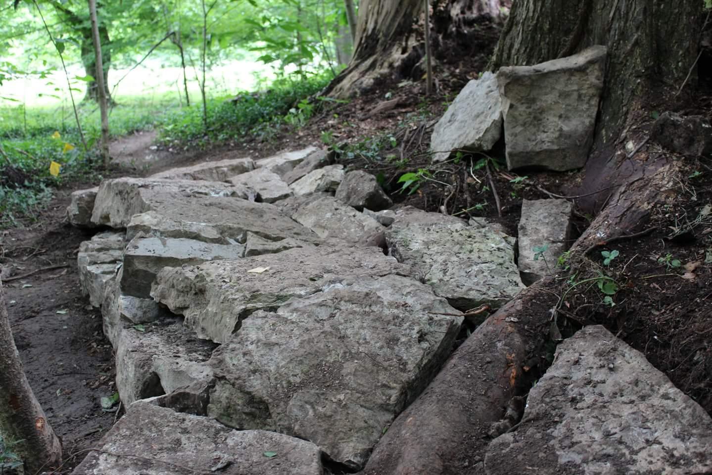 A pathway made of large, uneven stones bordered by greenery, leading through a wooded area with trees and plants surrounding the trail. Cherokee Park mountain bike trail.