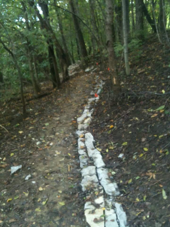 A winding path through a wooded area, lined with stones, surrounded by trees and scattered autumn leaves on the ground. Cherokee Park mountain bike trail.