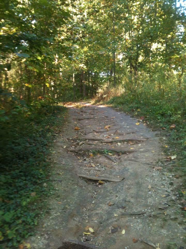 A natural pathway winding through a wooded area, with patches of sunlight filtering through the trees. The trail is uneven, featuring exposed roots, stones, and fallen leaves, suggesting it is used for hiking or walking. The greenery on either side adds to the serene atmosphere of the forest. Cherokee Park mountain bike trail.