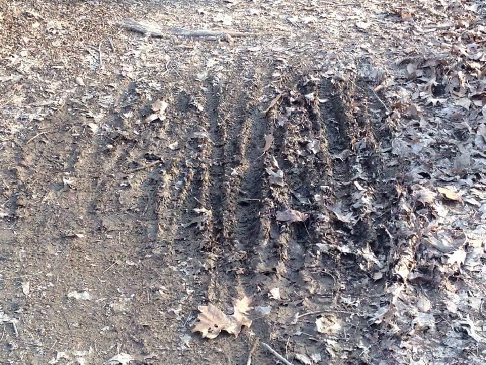 A patch of dirt with tire tracks running through it, surrounded by scattered brown leaves. The surface shows signs of recent disturbance, with uneven patches of soil and visible imprints where tires have rolled. Cherokee Park mountain bike trail.