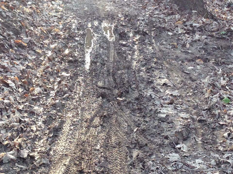 A muddy trail covered in fallen leaves, showing tire tracks and puddles reflecting sunlight. The path is flanked by dry foliage and trees in the background. Cherokee Park mountain bike trail.