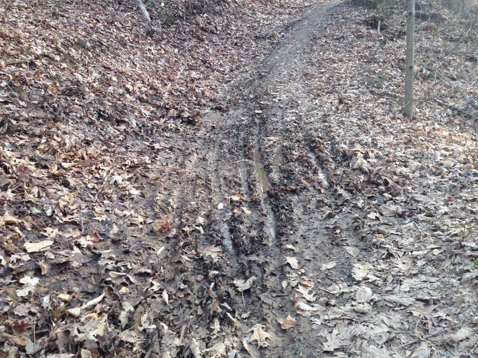 A dirt trail in a forest covered with fallen leaves, showing tracks indicating recent traffic. The ground is wet and slightly muddy in places, with scattered dry leaves around the path. Cherokee Park mountain bike trail.