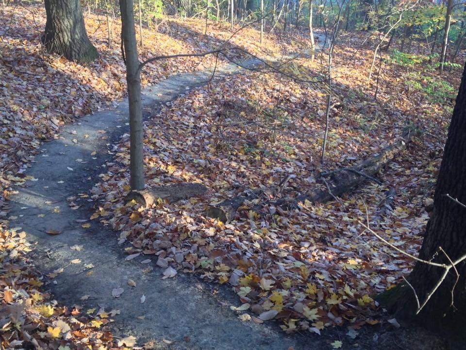 A winding path through a forest covered in fall leaves, with trees lining the sides and dappled sunlight filtering through the branches. Cherokee Park mountain bike trail.