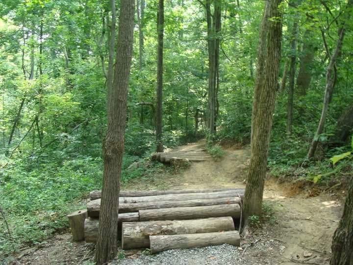 A wooded trail in a dense forest with green foliage and trees lining the path. A small bridge made of logs crosses over a dirt area, leading into the winding path that continues further into the woods. Waverly Park mountain bike trail.