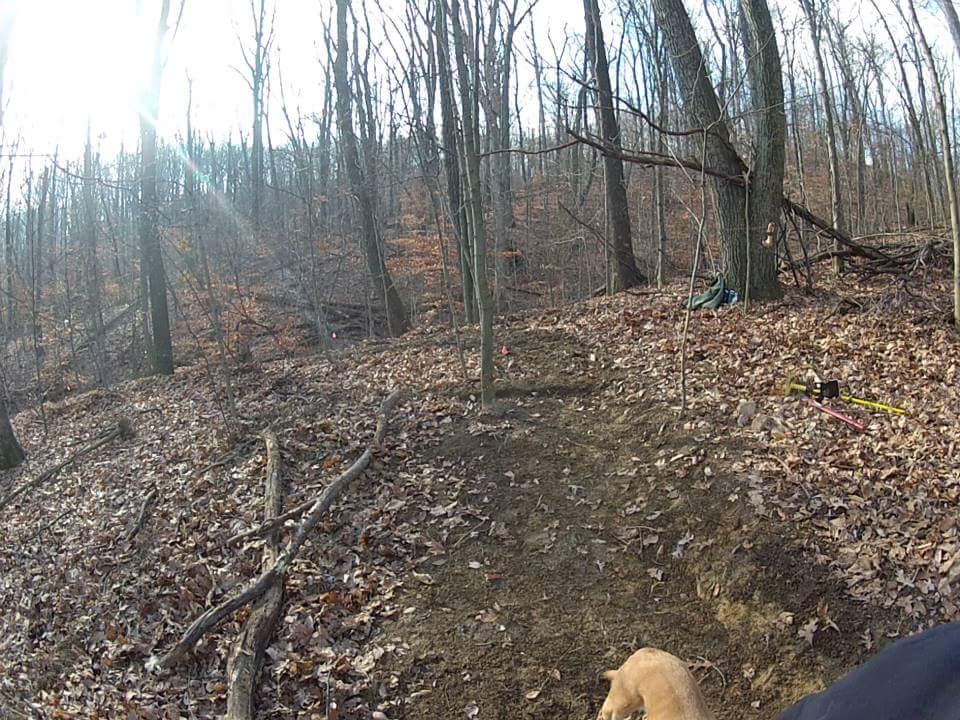 A sunlit forest scene during late autumn featuring a trail with fallen leaves and scattered twigs. The background shows tall trees with few remaining leaves, while a glimpse of pink markers can be seen along the path. In the foreground, a dog's back is visible, and some tools are placed on the ground, suggesting outdoor activity or trail work. Waverly Park mountain bike trail.