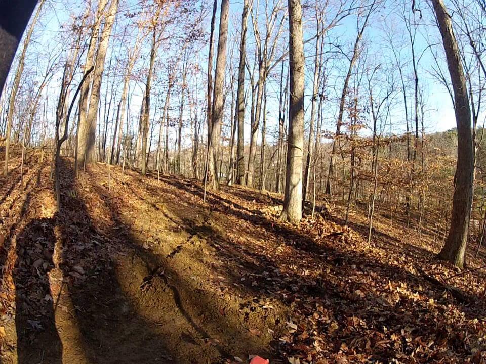 A sunlit forest scene showcasing a dirt path winding through tall, leafless trees, with fallen autumn leaves covering the ground. Shadows are cast by the trees, and a blue sky is visible in the background, indicating a clear day. Waverly Park mountain bike trail.