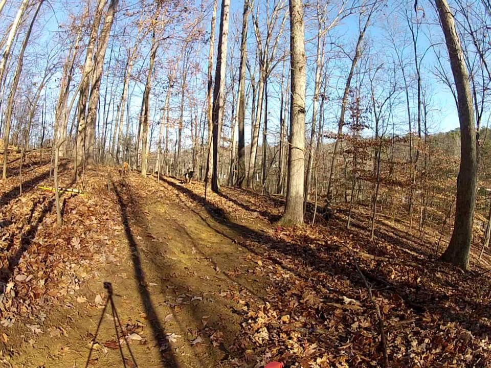 A dirt trail winding through a forest of leafless trees, with fallen leaves scattered on the ground. The sun shines from a clear blue sky, casting long shadows along the path. Waverly Park mountain bike trail.