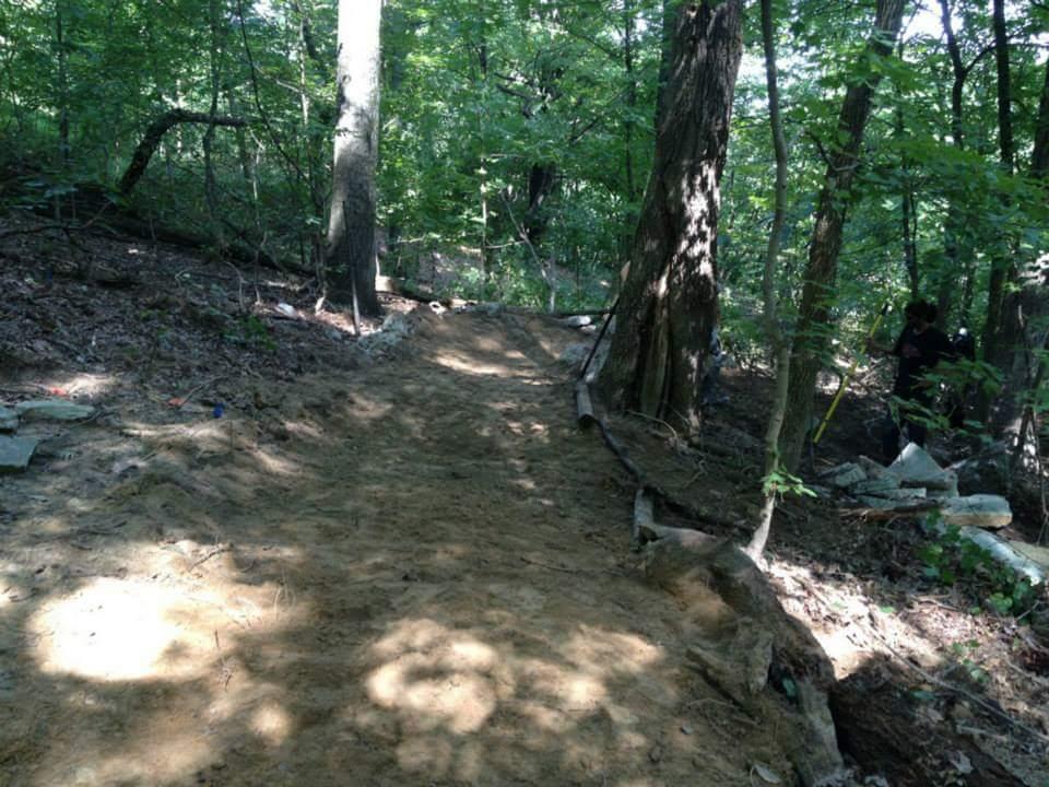 A narrow dirt path through a green forest, surrounded by trees and underbrush. The trail is well-defined, with sunlight filtering through the foliage, casting shadows on the ground. A person can be seen working in the background, partially obscured by the trees. Waverly Park mountain bike trail.