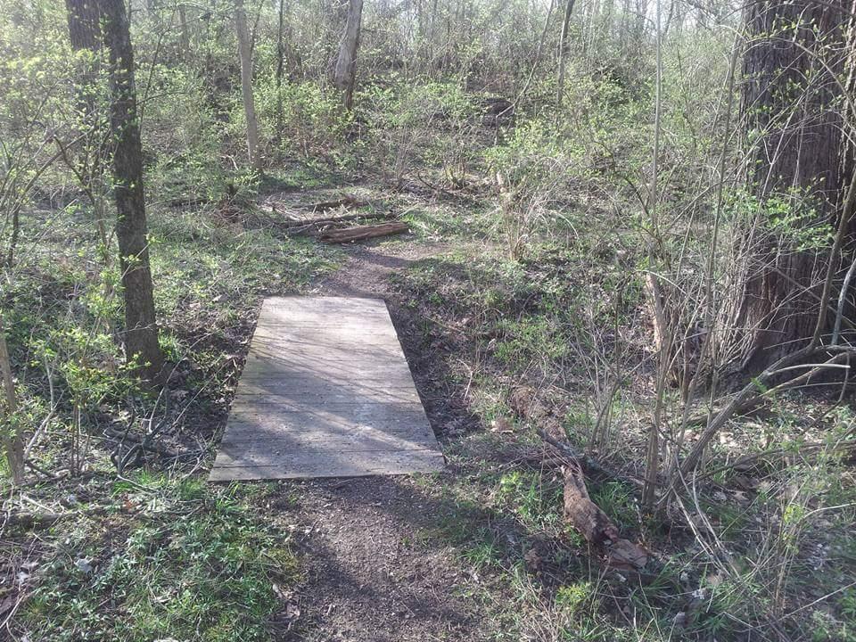 A narrow dirt path winding through a forested area, featuring a wooden plank bridge that crosses a small section of the ground. The surrounding landscape is lush with green vegetation and small bushes, indicating a fresh, natural environment. Sunlight filters through the trees, creating dappled light on the ground. Harbin park mountain bike trail.