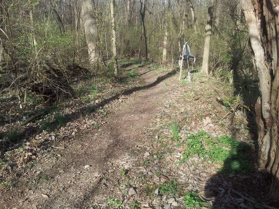 A narrow path winding through a wooded area, surrounded by trees and underbrush. Sparse greenery and fallen leaves cover the ground, with a hint of sunlight filtering through the branches. A folding chair is set up off the trail. Harbin park mountain bike trail.