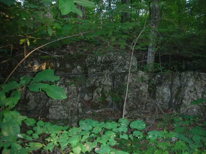 Rock formations partially covered by dense green foliage, with trees and plants surrounding the area, creating a natural setting in the woods. Brier Creek mountain bike trail.