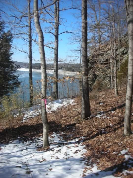 A serene winter landscape with bare trees and patches of snow on the ground. A calm lake is visible in the background under a clear blue sky, surrounded by distant hills. Some brown leaves cover the ground, hinting at the transition from fall to winter. Brier Creek mountain bike trail.