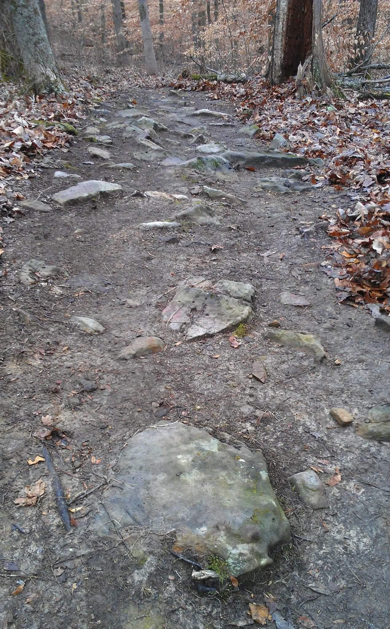 A dirt trail winding through a wooded area, scattered with rocks and autumn leaves. The scene captures the rugged texture of the path, lined with trees in the background. Brier Creek mountain bike trail.