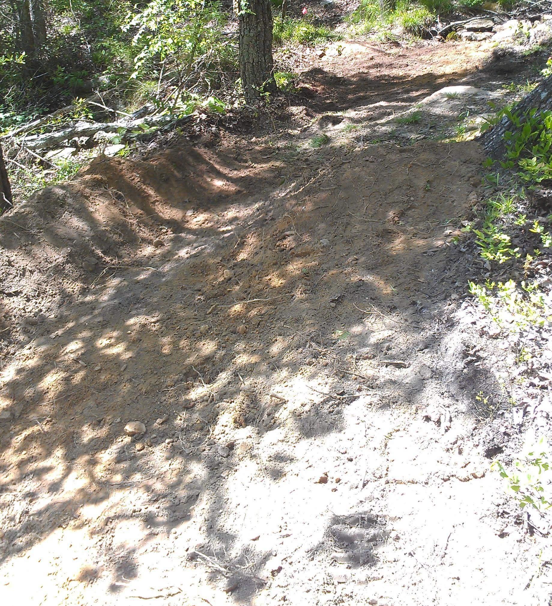 A dirt path through a wooded area, showing disturbed soil and subtle tire tracks, with patches of sunlight filtering through the trees. Brier Creek mountain bike trail.