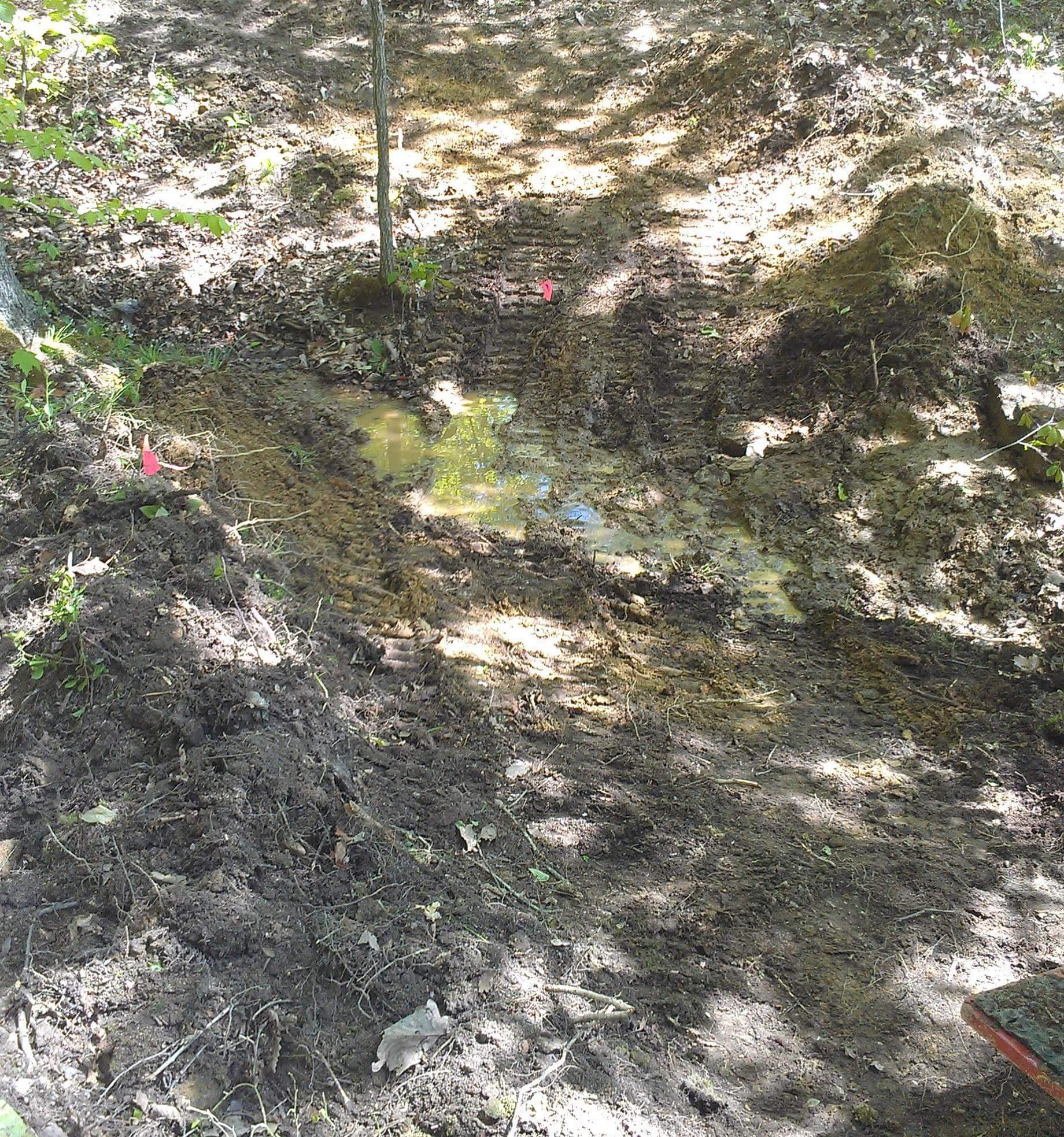 A muddy area in a wooded environment, featuring a small puddle and disturbed soil with visible tire tracks. Pink flags are placed in the vicinity, indicating potential survey or construction markers. Sunlight filters through the trees, creating a dappled light effect on the ground. Brier Creek mountain bike trail.