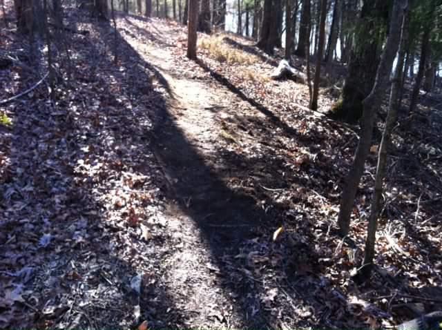 A dirt path winding through a wooded area, surrounded by trees and scattered fallen leaves, with dappled sunlight casting shadows on the ground. Brier Creek mountain bike trail.