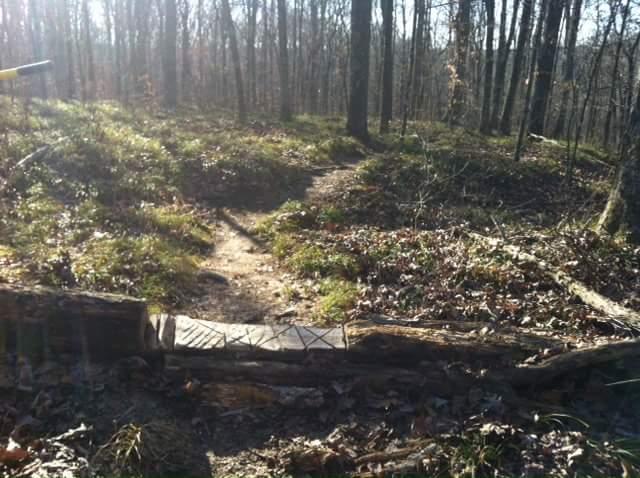 A pathway in a wooded area, showing a small wooden bridge over a stream. Sunlight filters through the trees, illuminating the grassy and leaf-strewn ground, with trails leading through the forest. Brier Creek mountain bike trail.