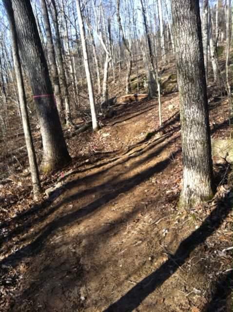 A wooded trail winding through a forest, lined by bare trees with a few remaining leaves. The path is dirt with patches of sunlight filtering through, indicating it is a clear day. A pink marker is visible on one of the trees, suggesting a trail or path designation. Brier Creek mountain bike trail.