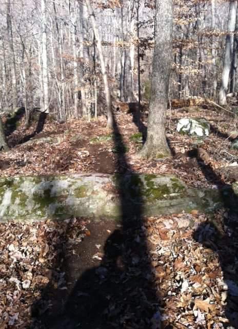 A narrow dirt trail winds through a forest, surrounded by trees with sparse leaves on the ground. Sunlight filters through the branches, casting long shadows on the trail and a moss-covered rock in the foreground. The scene evokes a sense of tranquility and exploration in nature. Brier Creek mountain bike trail.