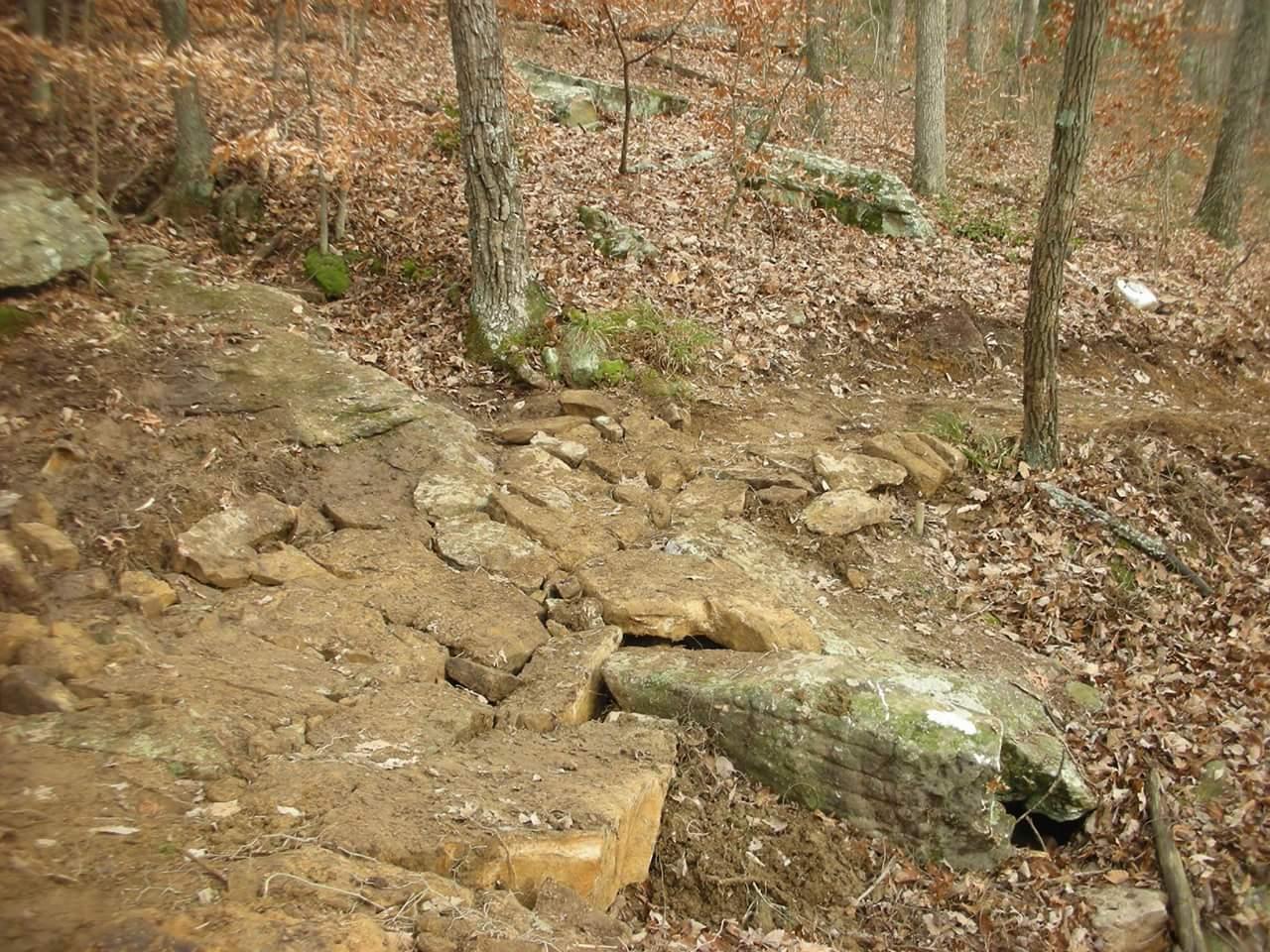 A rocky trail in a wooded area, surrounded by leafless trees and scattered dry leaves on the ground. Large stones and boulders are visible, indicating uneven terrain. Brier Creek mountain bike trail.