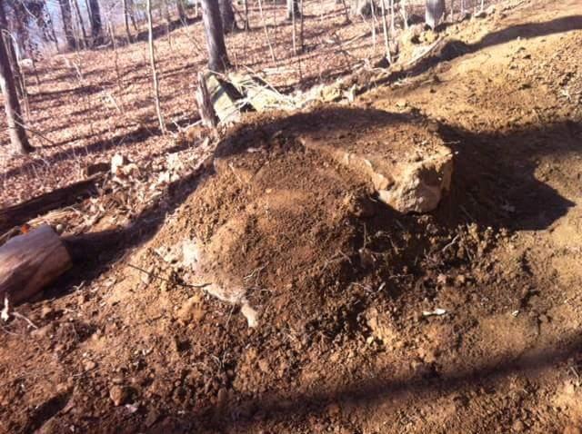 A small, dirt mound with a rocky surface surrounded by a forested area. The ground is mostly dry with some scattered leaves, and there are tree trunks in the background. Brier Creek mountain bike trail.