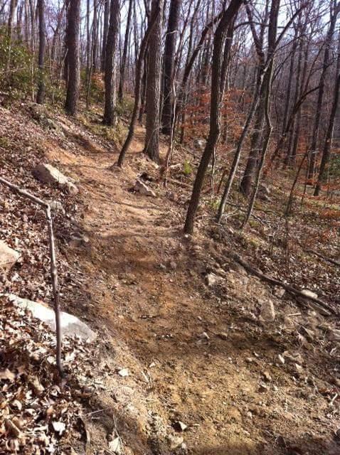 A dirt hiking trail winding through a forest with bare trees, scattered rocks, and fallen leaves on the ground. The path is surrounded by foliage, indicating a natural, wooded environment. Brier Creek mountain bike trail.