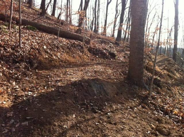 A winding dirt trail through a wooded area, surrounded by trees with sparse leaves. The ground is mostly bare, showing patches of brown soil and fallen leaves, with a few logs and rocks visible along the path. The sunlight filters through the trees, creating a dappled effect on the trail. Brier Creek mountain bike trail.