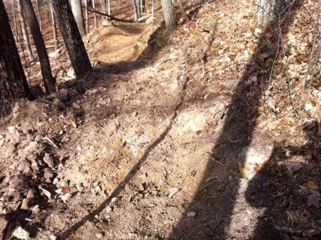 A dirt hiking trail winding through a wooded area, with rocky patches and scattered fallen leaves. Shadows of trees stretch across the path, indicating a sunny but cool day. Brier Creek mountain bike trail.