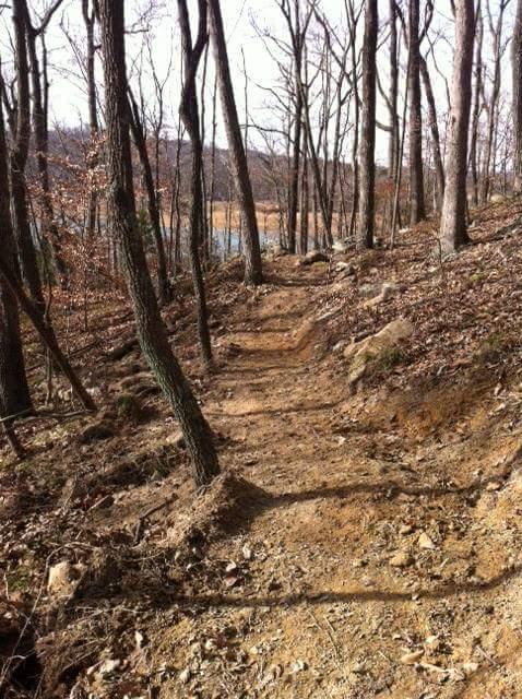 A narrow dirt path winds through a forest with bare trees, leading towards a body of water in the background. The path is bordered by rocky soil and scattered leaves, suggesting a serene outdoor setting. Brier Creek mountain bike trail.