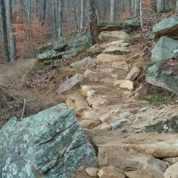 A rocky hiking trail winding through a wooded area, featuring large stones and boulders lining the path, surrounded by trees with autumn foliage. Brier Creek mountain bike trail.