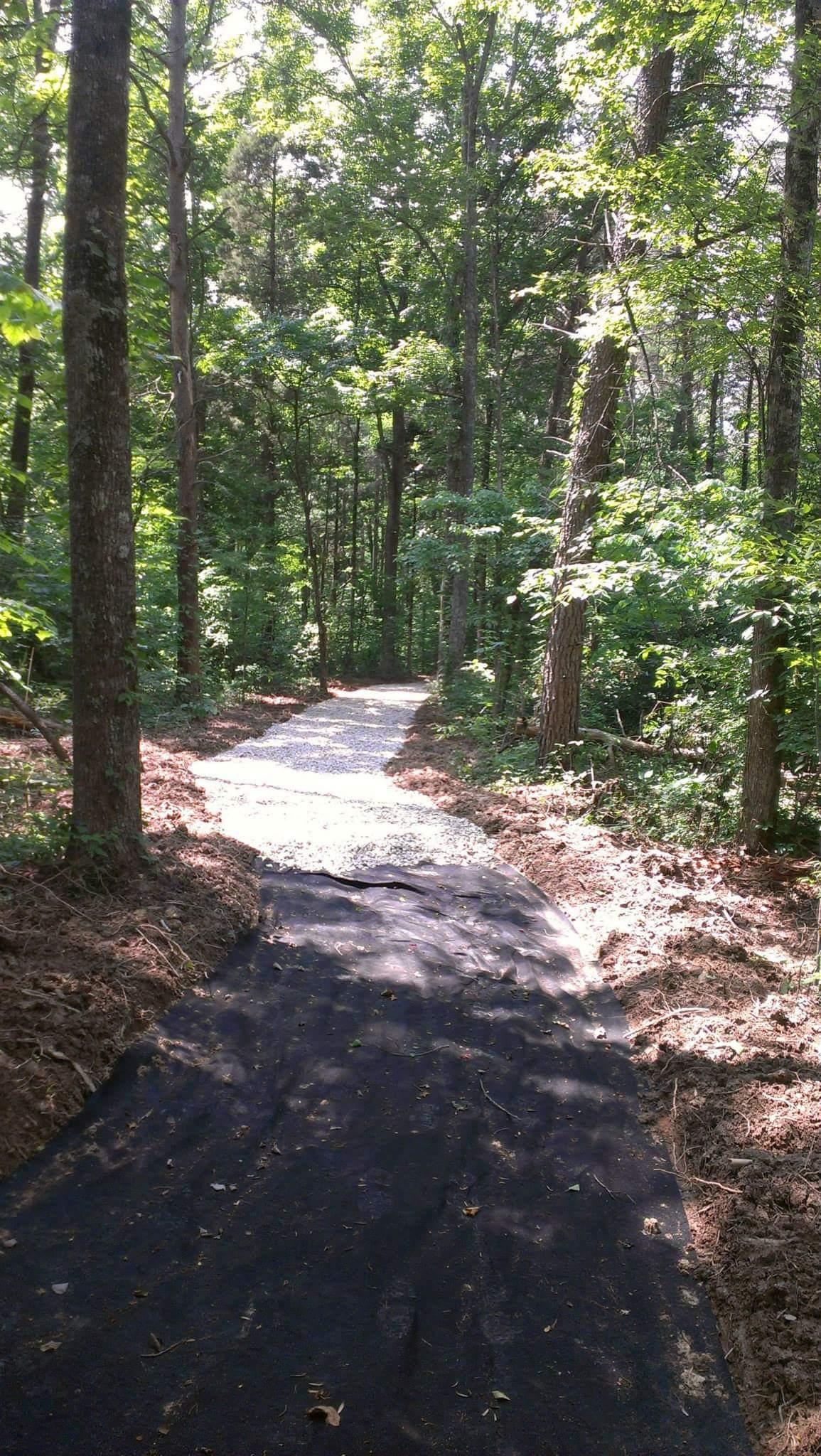 A winding gravel path through a wooded area, surrounded by tall trees and lush greenery, with some areas of exposed black fabric along the trail. Big Hollow Trail mountain bike trail.