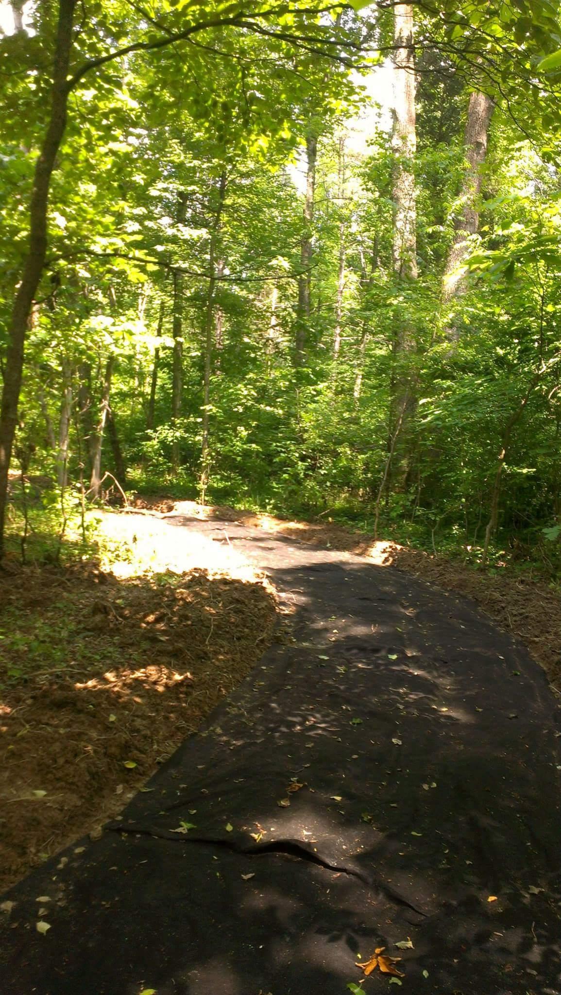 A partially cleared path in a lush green forest, with sunlight filtering through the trees, and a layer of black landscaping fabric laid on the ground. Surrounding vegetation includes a mix of trees and underbrush. Big Hollow Trail mountain bike trail.