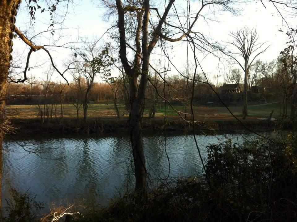 A tranquil riverside scene depicting a calm body of water surrounded by bare trees and lush greenery. The landscape showcases a grassy area beyond the river, with a distant view of a house partially obscured by trees, highlighted by soft sunlight in the background. Low Hollow mountain bike trail.